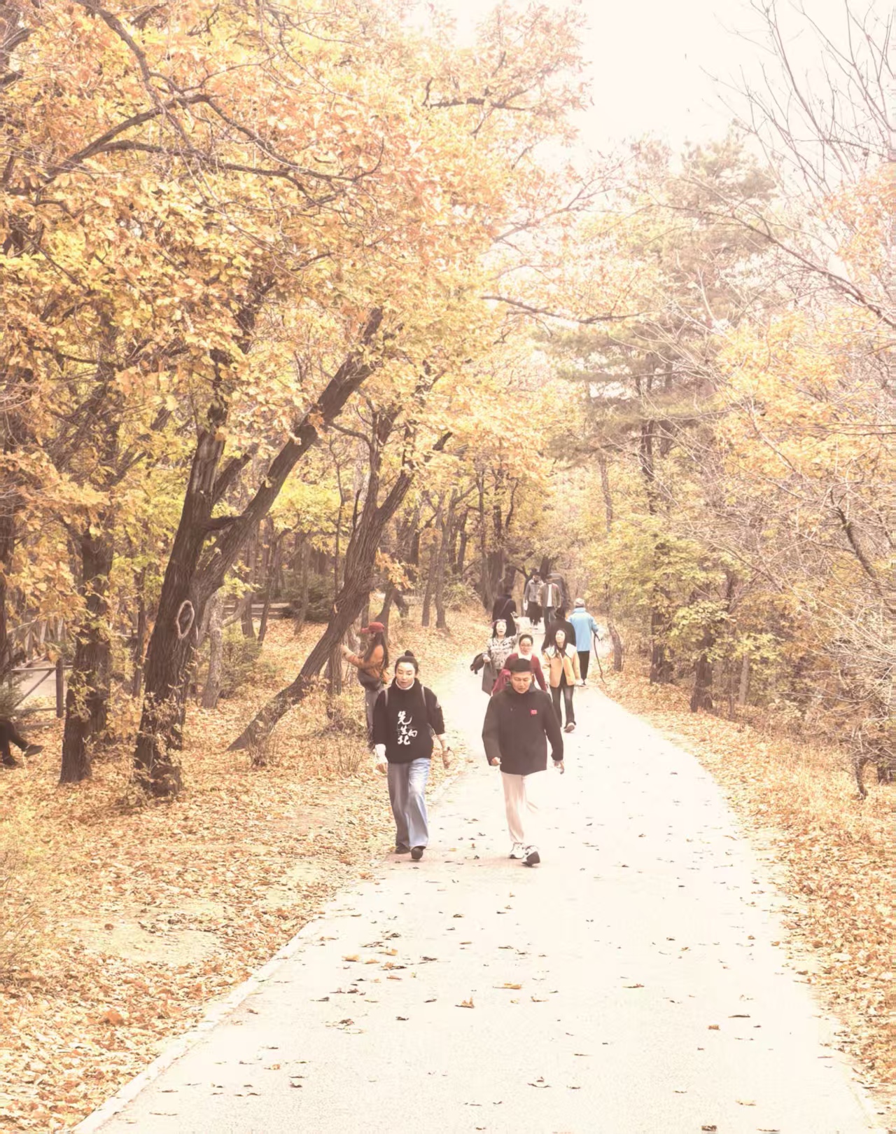 1ff7c16f20adb2ba13c256605a7092cd 1ff7c16f20adb2ba13c256605a7092cd